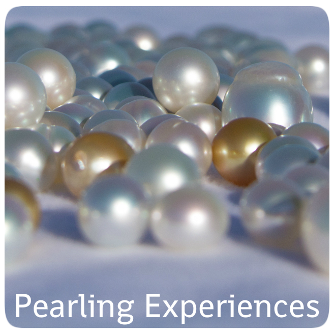 Pearling Experiences - Cygnet Bay Pearl Farm